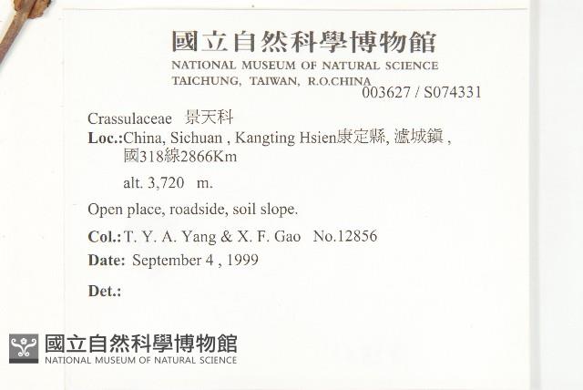 登錄號:S074331藏品圖，第2張