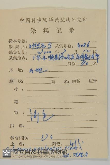 過山楓藏品圖，第2張