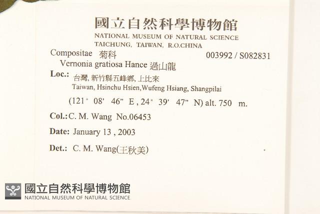 過山龍藏品圖，第2張