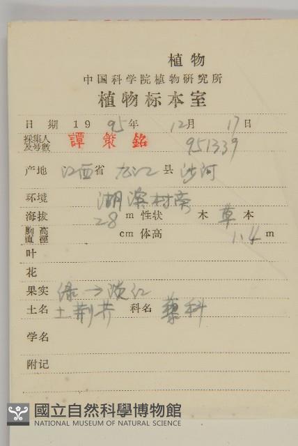 臭杏、土荊芥藏品圖，第2張