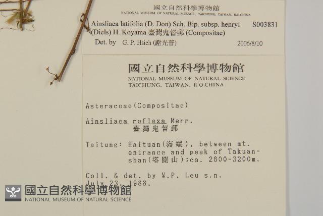 臺灣鬼督郵藏品圖，第2張