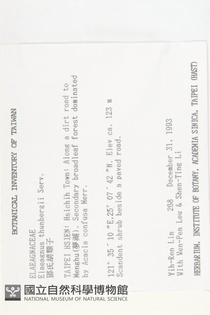 鄧氏胡頹子藏品圖，第2張