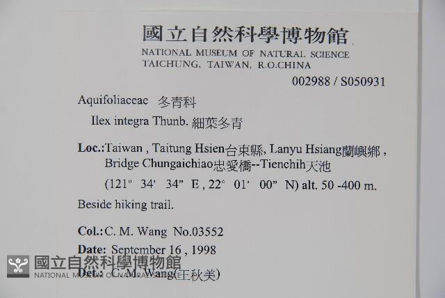 全緣葉冬青藏品圖，第2張