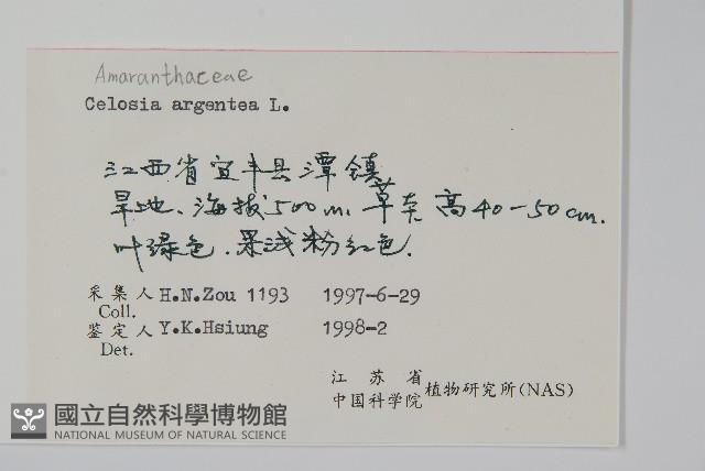 青葙藏品圖，第2張