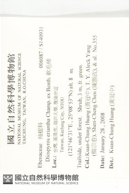 軟毛柿藏品圖，第2張