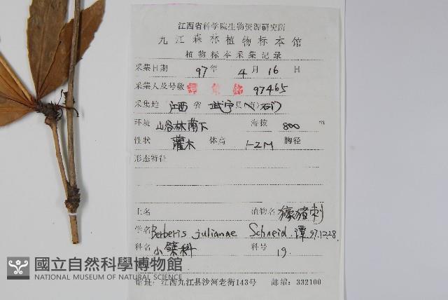 安徽小蘗藏品圖，第2張