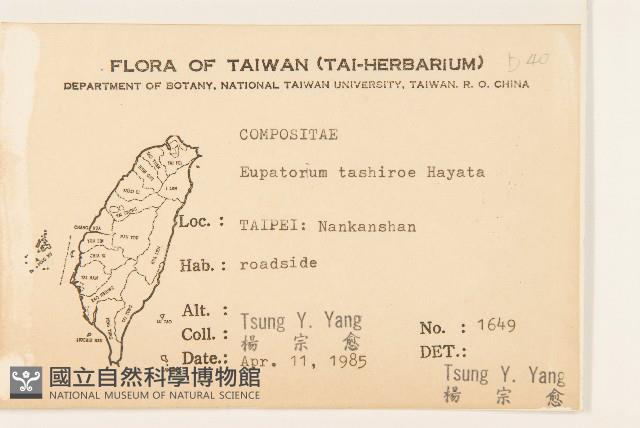 田代氏澤蘭藏品圖，第2張