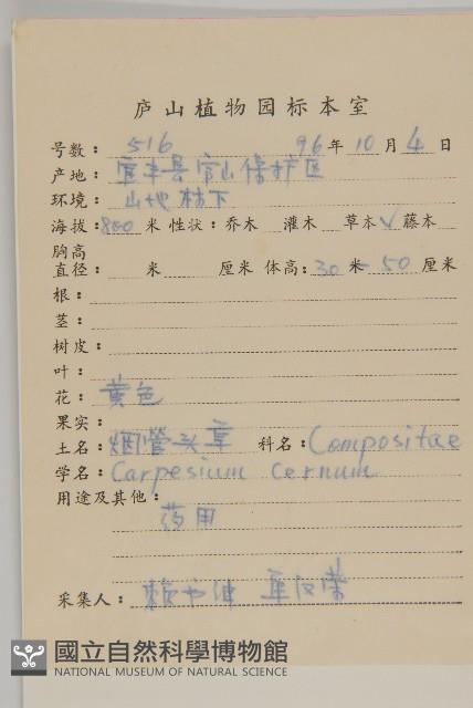 杓兒菜藏品圖，第2張