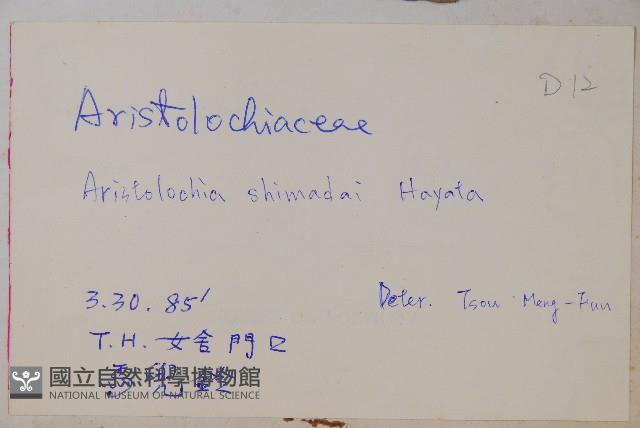 臺灣馬兜鈴、痢藥草藏品圖，第2張