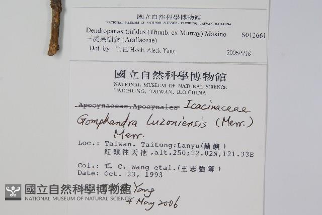 三菱果樹參藏品圖，第2張