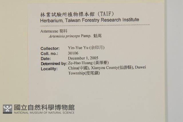 魁蒿藏品圖，第2張