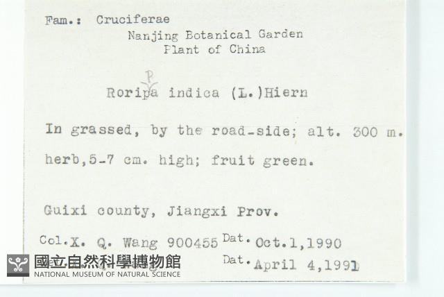 葶藶藏品圖，第2張