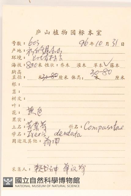 苦實菜藏品圖，第2張