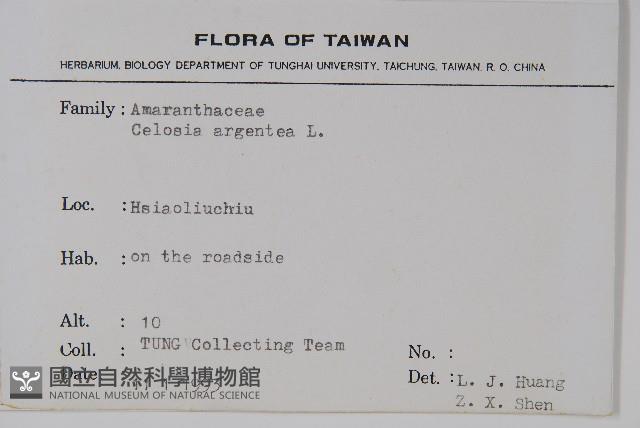 青葙藏品圖，第2張