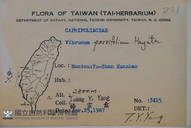 小葉莢迷藏品圖，第5張