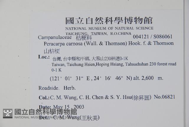 山桔梗藏品圖，第2張