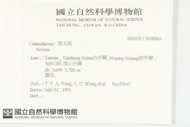 登錄號:S040061藏品圖，第2張