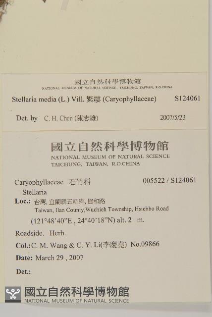 繁縷藏品圖，第2張