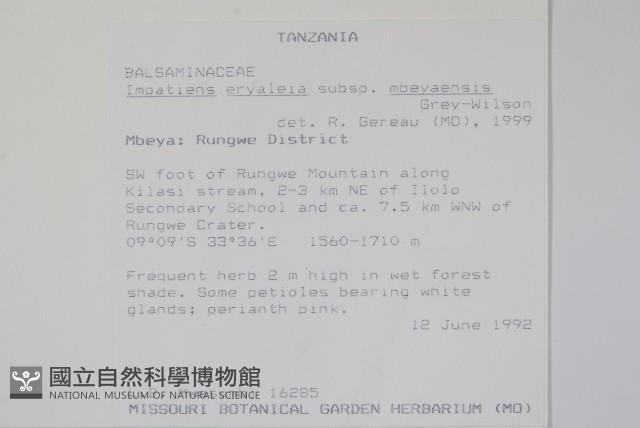 登錄號:S094061藏品圖，第2張