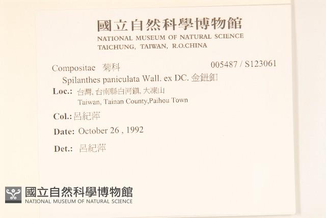 金鈕釦藏品圖，第2張