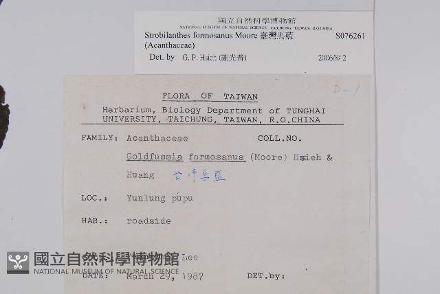 臺灣馬藍藏品圖，第2張