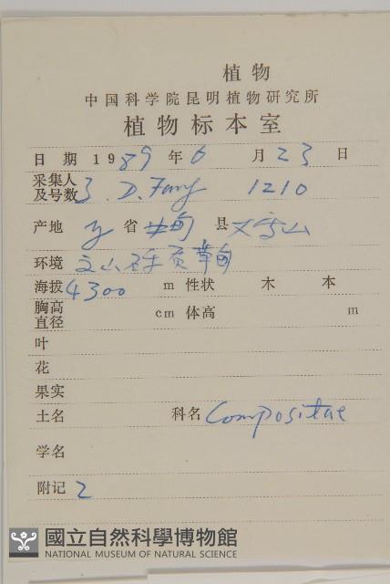 石岩報春藏品圖，第2張