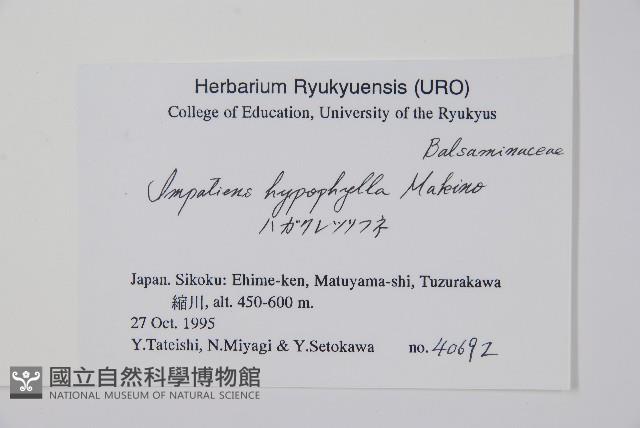 登錄號:S051261藏品圖，第2張