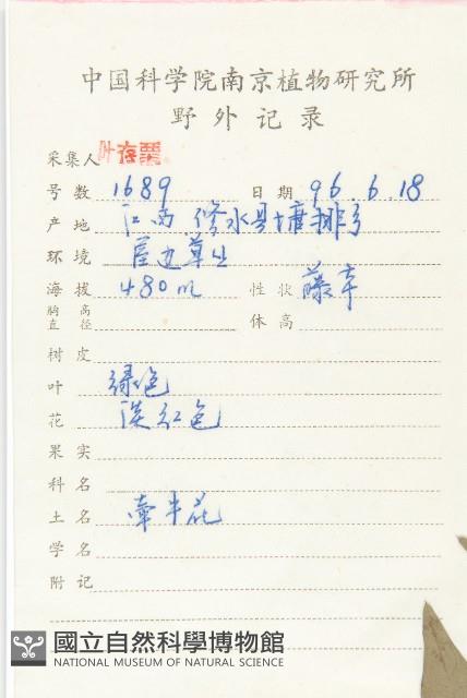 庫頁懸鉤子藏品圖，第2張