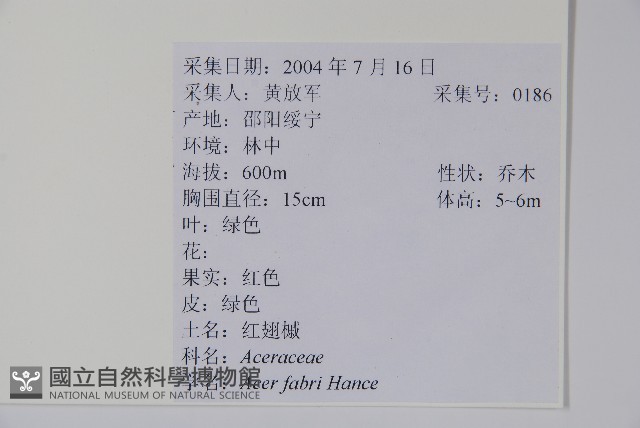 登錄號:S010461藏品圖，第2張