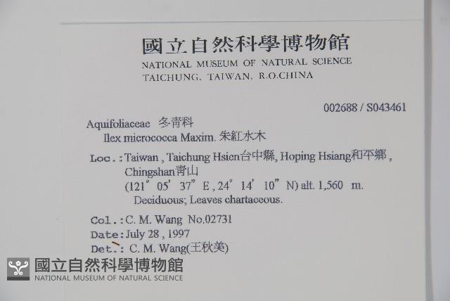 朱紅水木藏品圖，第2張