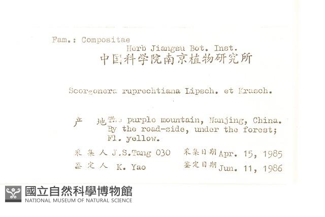 鴉蔥藏品圖，第2張