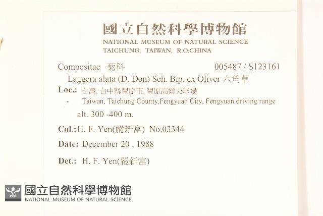 六角草藏品圖，第2張