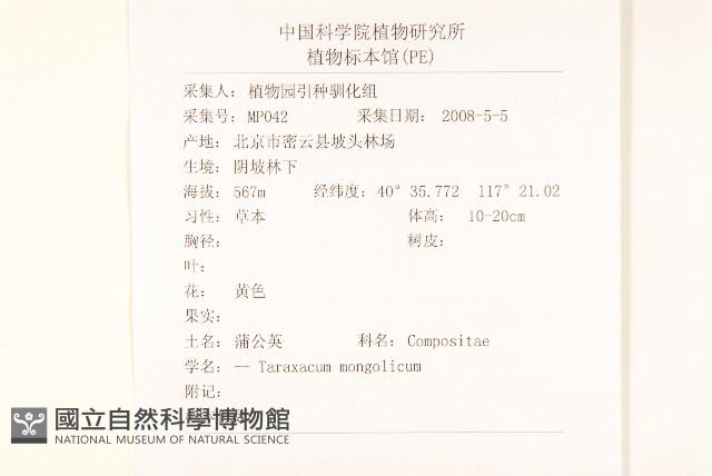 蒲公英藏品圖，第2張