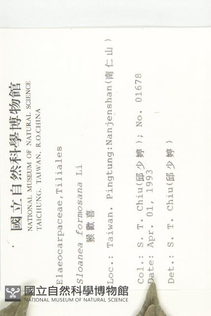 猴歡喜藏品圖，第2張