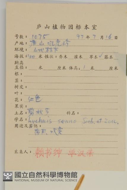 剪秋羅、剪秋紗、漢宮秋藏品圖，第2張