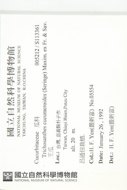 王瓜藏品圖，第2張