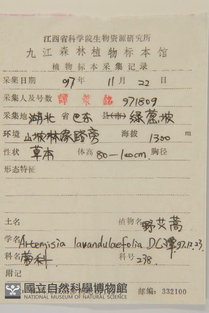 野艾蒿藏品圖，第2張