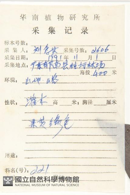 Kaki Persimmon, Japanese Persimmon Collection Image, Figure 2, Total 3 Figures