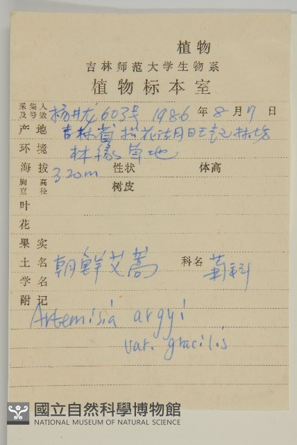 朝鮮艾蒿藏品圖，第2張
