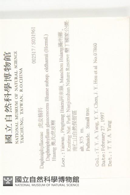 耿氏虎皮楠藏品圖，第2張