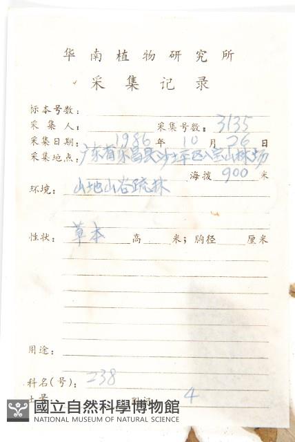 臺灣青木香藏品圖，第2張