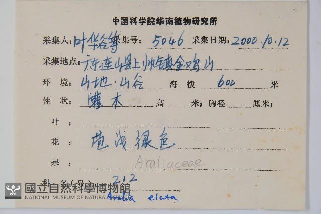 遼東蔥木藏品圖，第2張