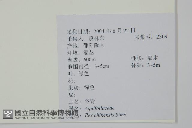 冬青藏品圖，第2張