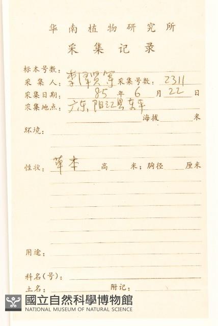 一枝黃花藏品圖，第2張