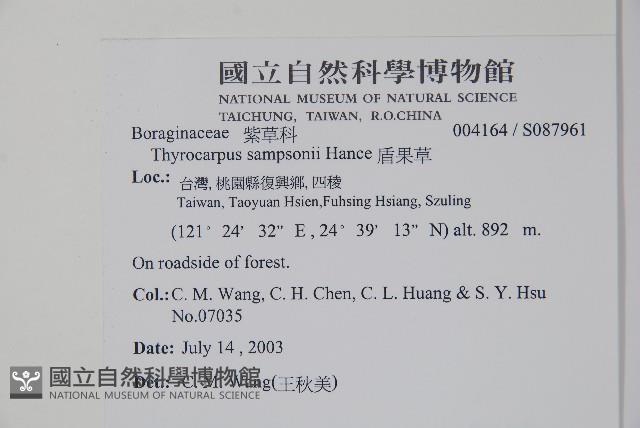 盾果草藏品圖，第2張