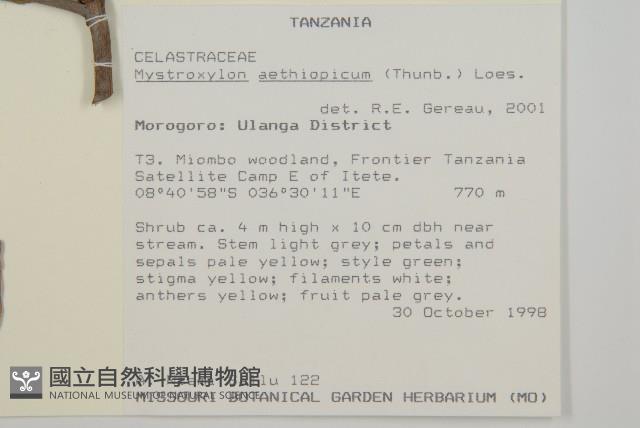 登錄號:S100561藏品圖，第2張