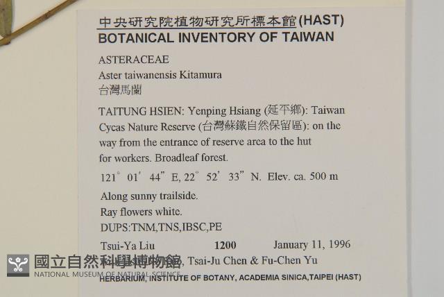 臺灣馬蘭藏品圖，第2張