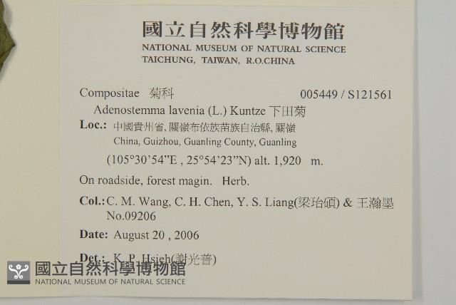 下田菊藏品圖，第2張