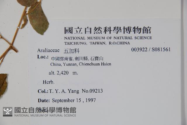 登錄號:S081561藏品圖，第2張