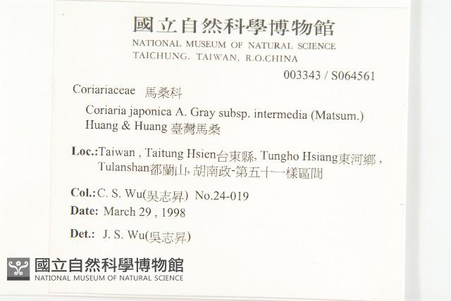 臺灣馬桑藏品圖，第2張